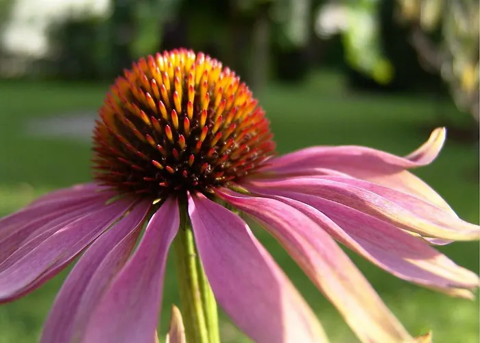 Fellhornhaus 오버스트도르프